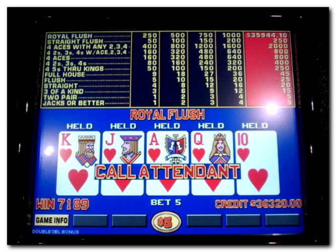 110% Reģistrācijas kazino bonuss Royal Panda Casino